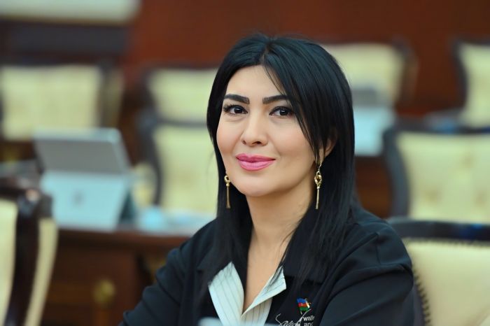 Millət vəkili: Məktəblərdə laboratoriya mərkəzlərinin yaradılması zəruridir