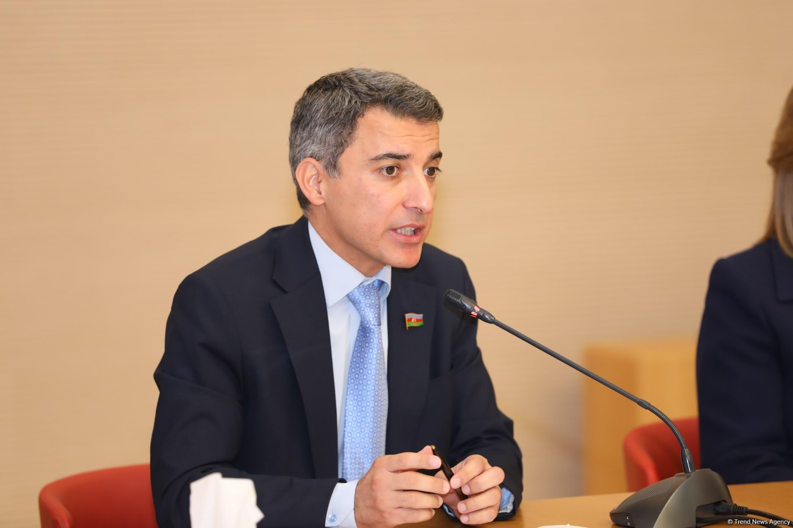 Fariz İsmayılzadə: Özəl məktəblərdə Azərbaycan dili və ədəbiyyatının tədrisi ilə bağlı dinləmələr keçirilməlidir