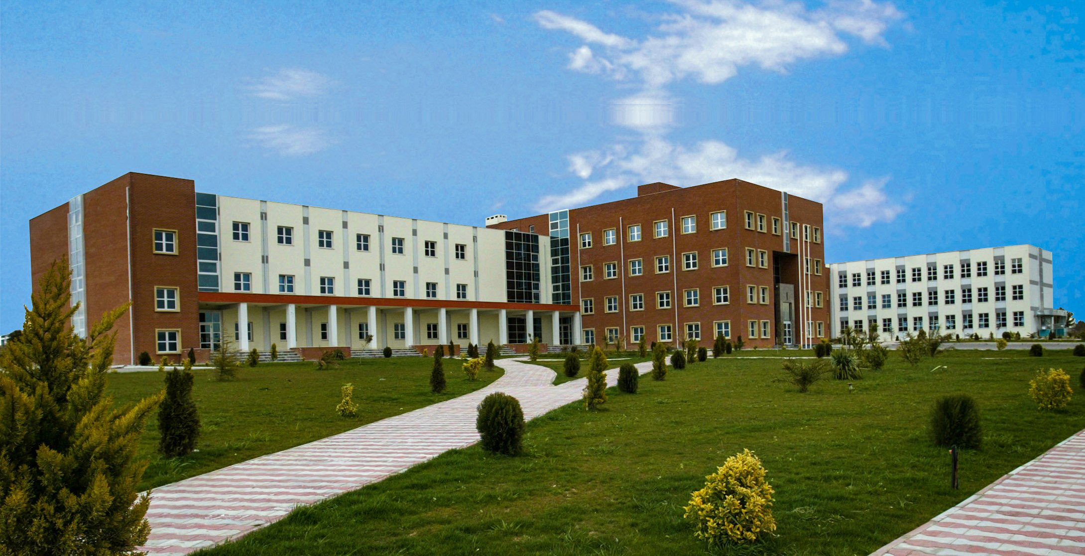 BMU İndoneziya universiteti ilə əməkdaşlıq edəcək